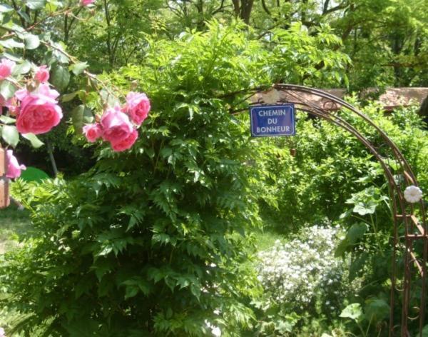 La Chambre D'Hote Au Gre Du Temps Montlaur  Ngoại thất bức ảnh